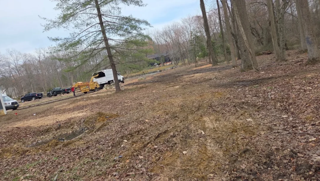 Land and Lot Clearing