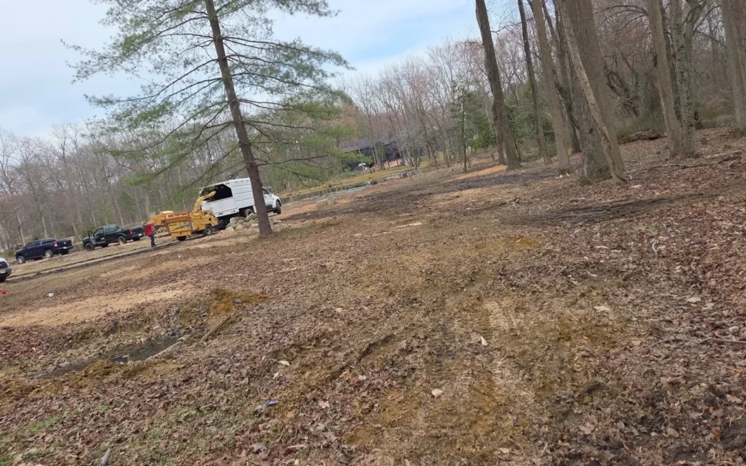 Tree Service in Bucks & Montgomery County PA | Trust Planet 58 Land Clearing Project 2