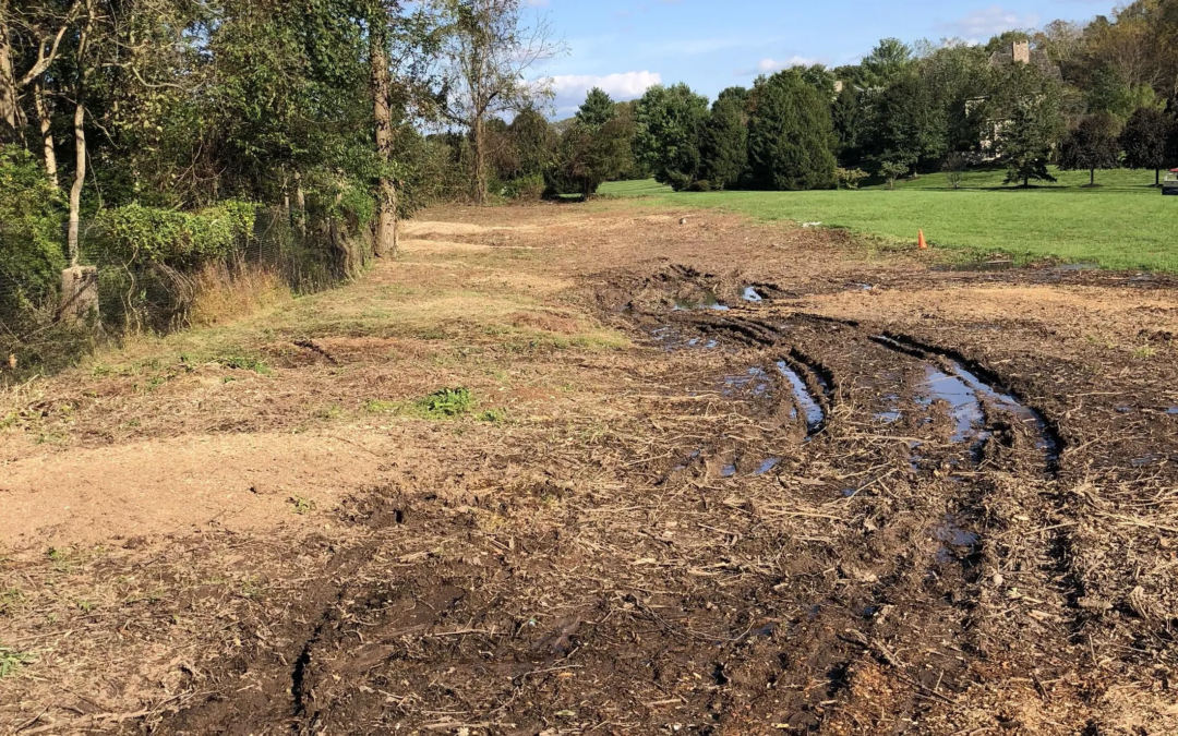 Tree Service in Bucks & Montgomery County PA | Trust Planet 57 Land Clearing Project 1
