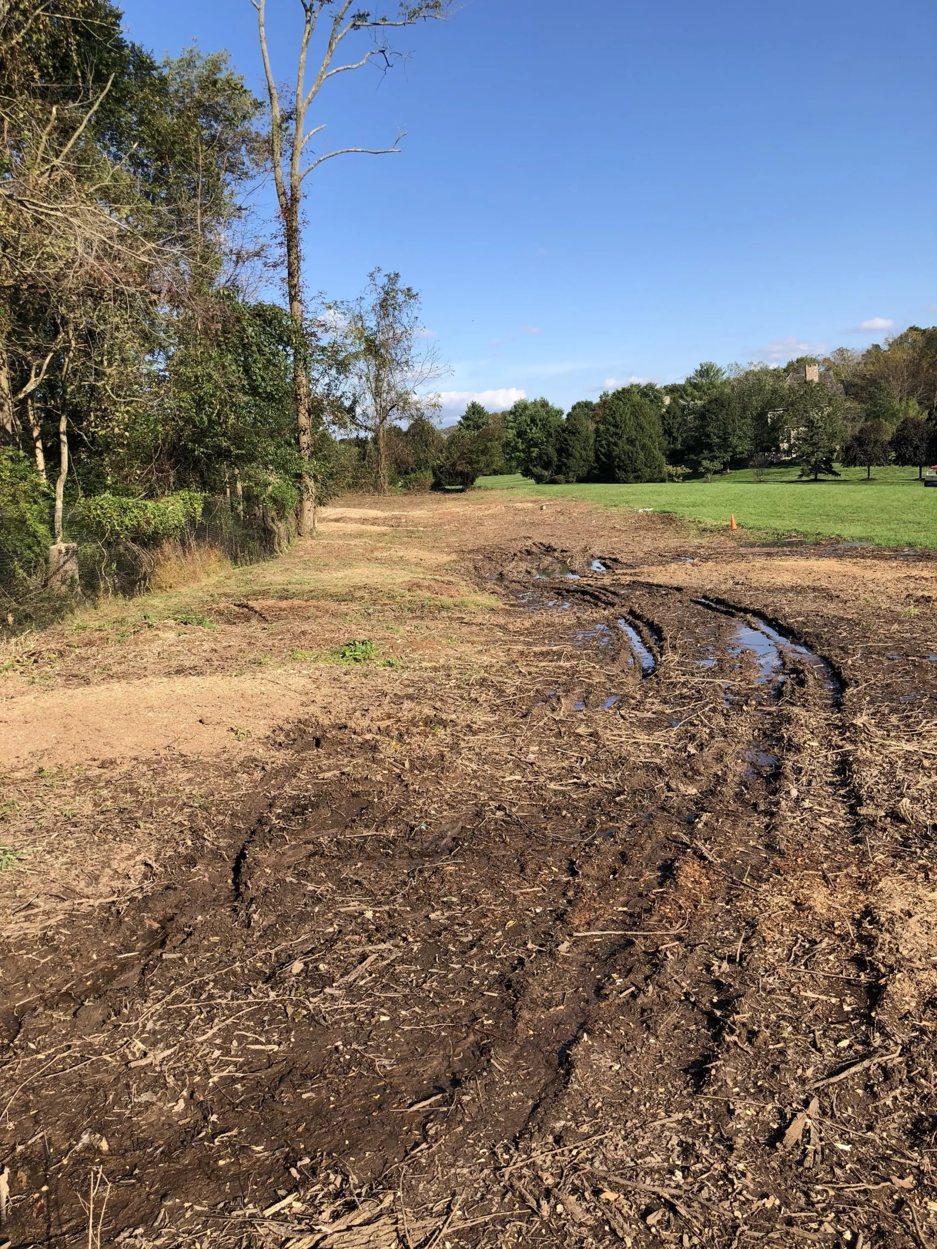 land-clearing-project-1 Land Clearing Project 1