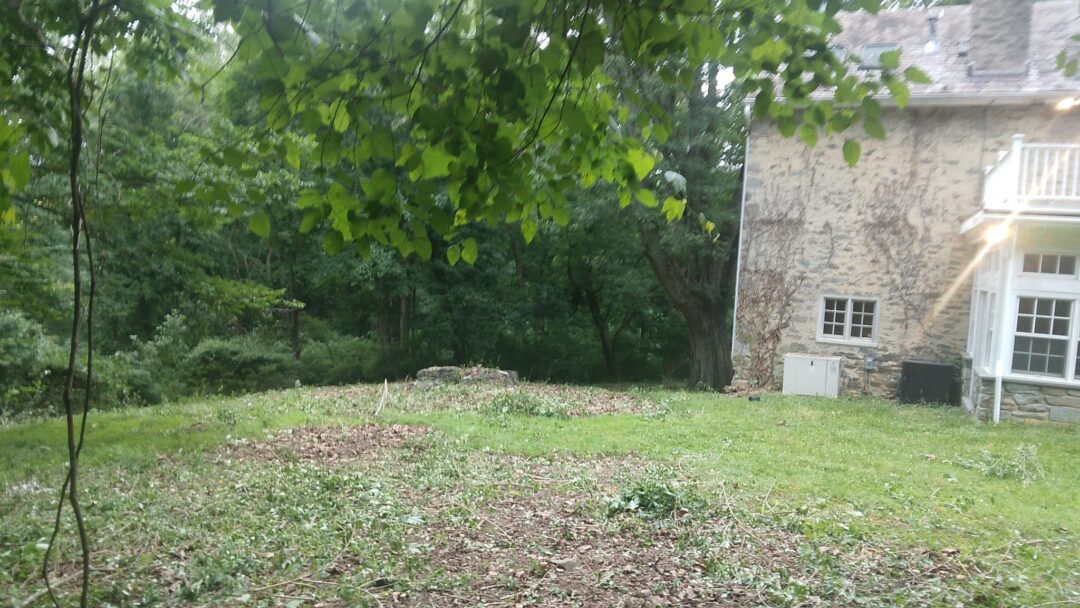 Land Clearing Project 5