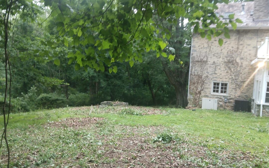 Tree Service in Bucks & Montgomery County PA | Trust Planet 61 Land Clearing Project 5