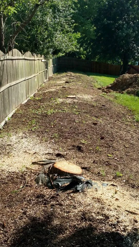 land-clearing-project-6 Land Clearing Project 6