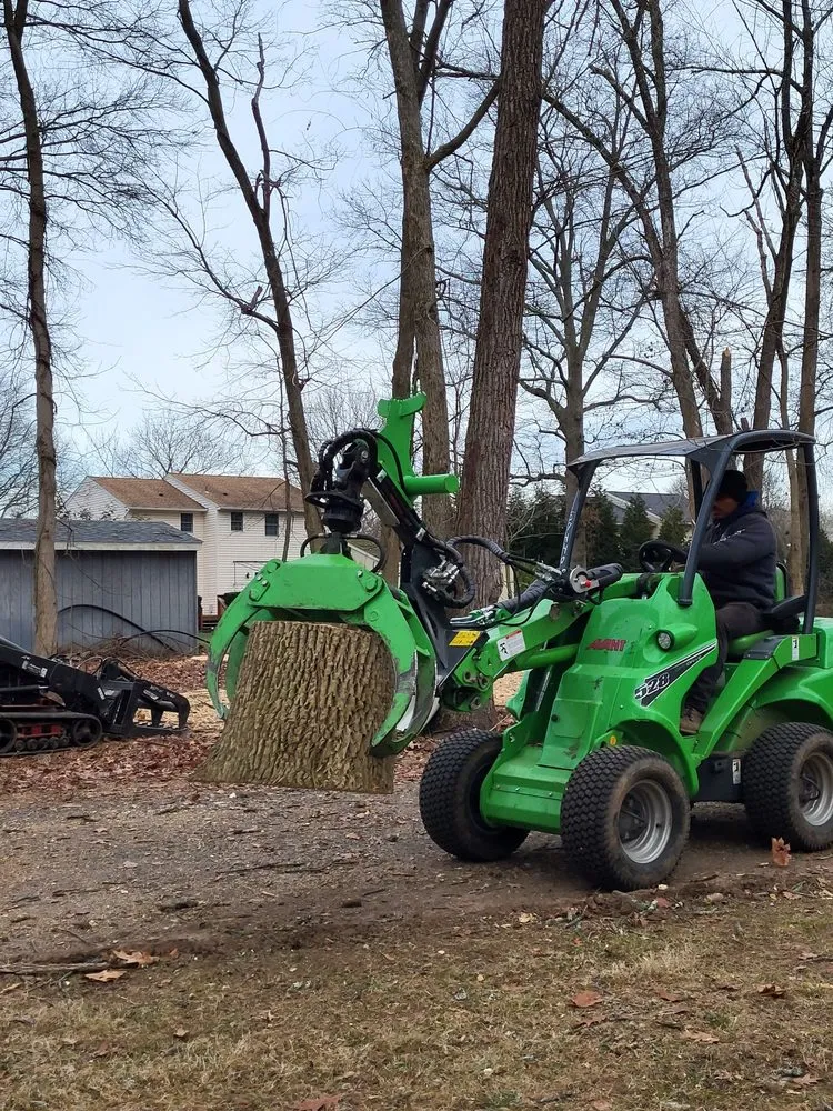 overgrown-wooded-lot-mid-clearing-with-equipment-on-site Trunk sections staged for haul off after a large removal