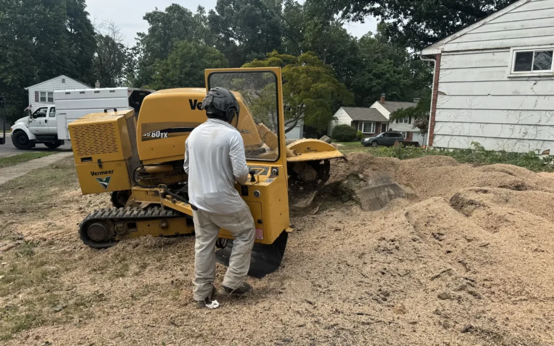 Tree Service in Bucks & Montgomery County PA | Trust Planet 69 Stump Grinding Project 1