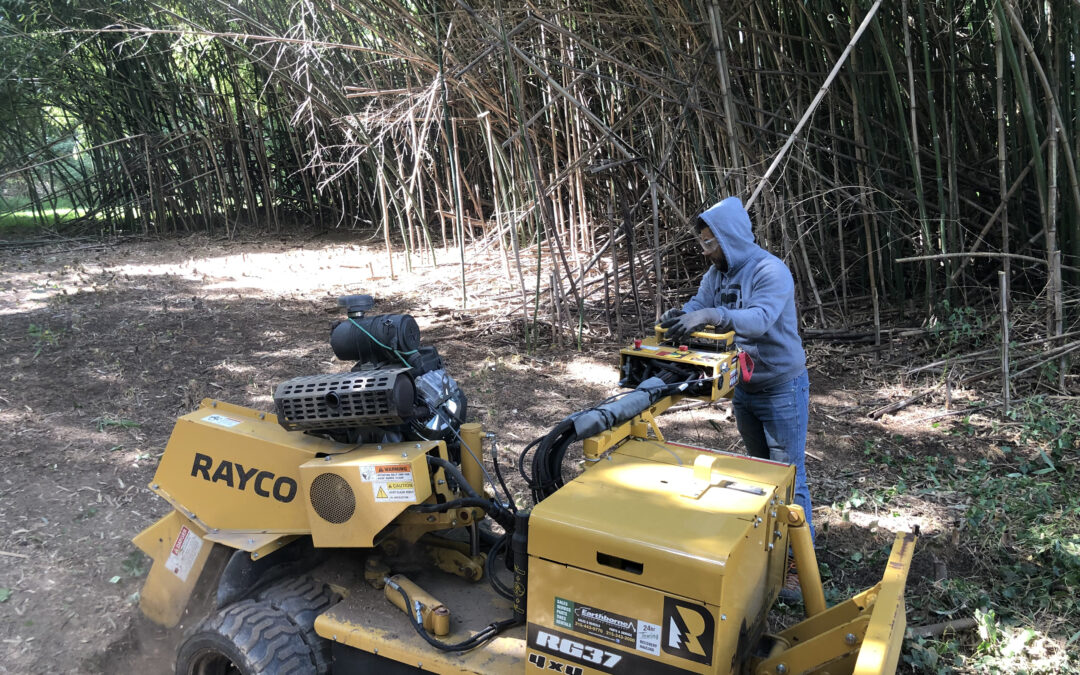 Tree Service in Bucks & Montgomery County PA | Trust Planet 74 Stump Grinding Project 6