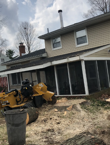 Tree Service in Bucks & Montgomery County PA | Trust Planet 70 Stump Grinding Project 2
