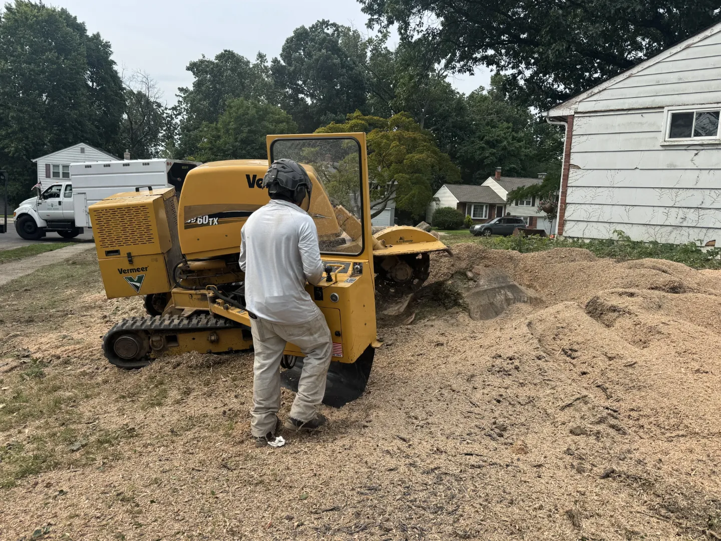 stump-grinding Stump Grinding
