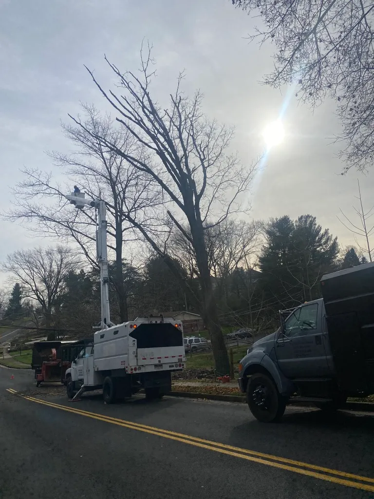 Tree Pruning Project 4