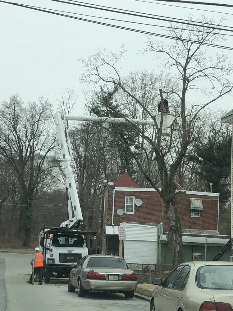tree-pruning Tree Pruning
