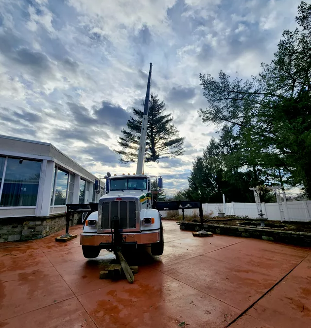 Tree Service in Bucks & Montgomery County PA | Trust Planet 53 Tree Removal Project 3