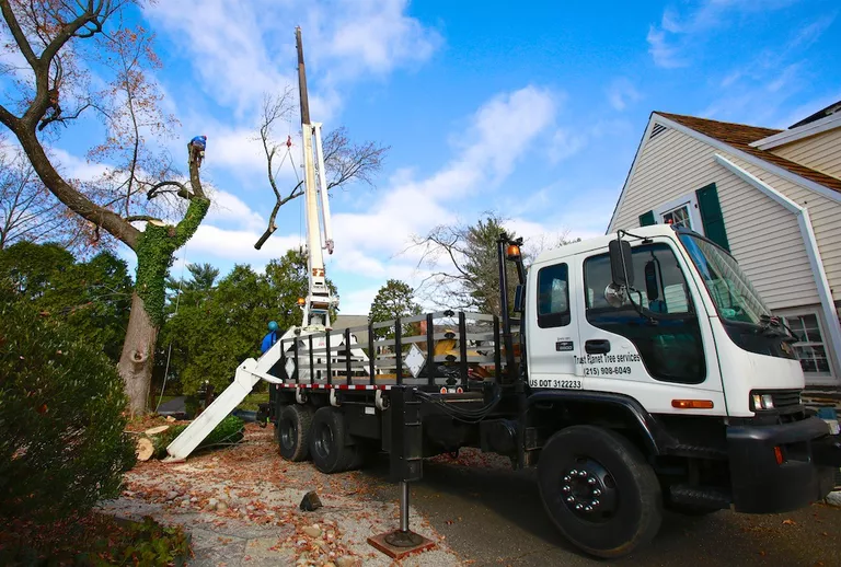 Tree Service in Bucks & Montgomery County PA | Trust Planet 55 Tree Removal Project 5
