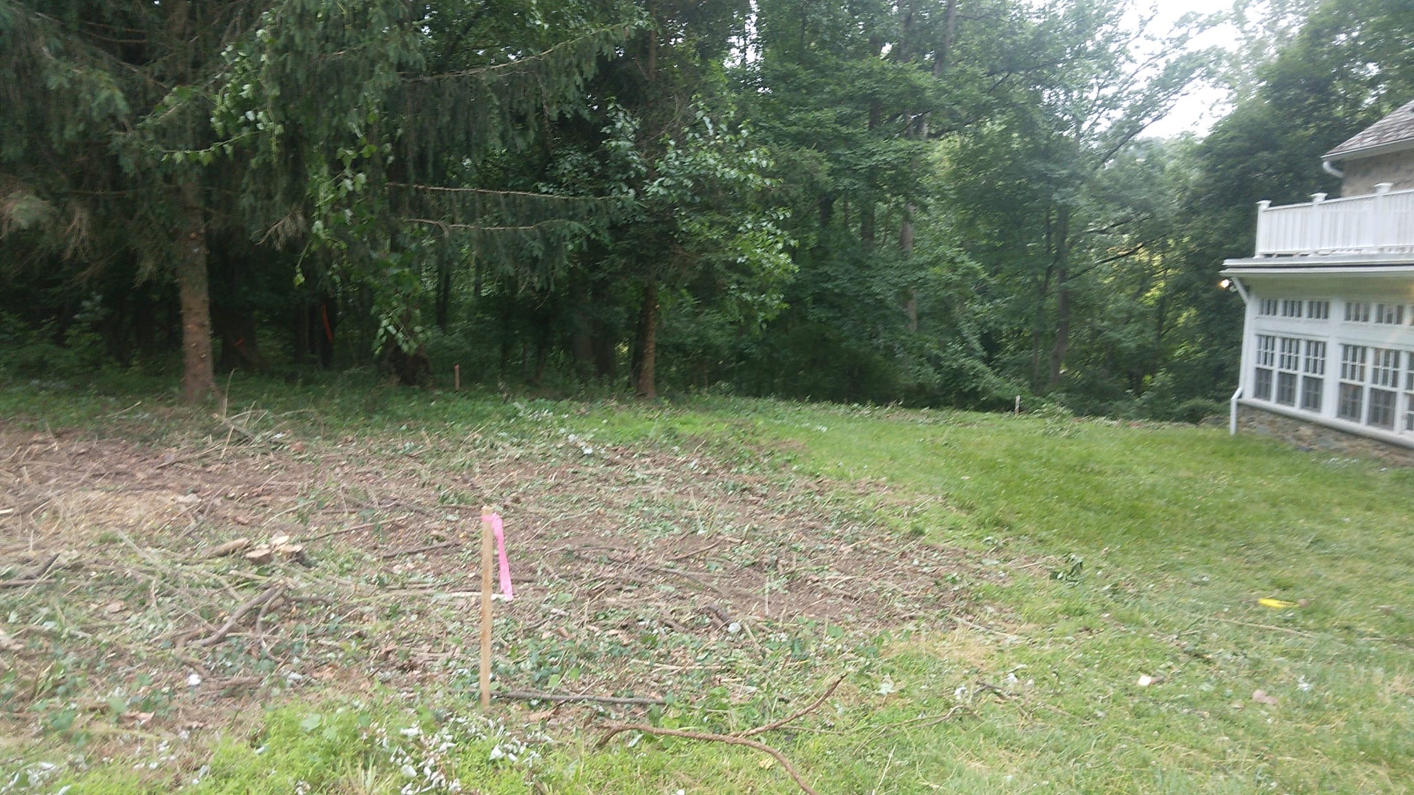 overgrown-backyards Overgrown Backyards